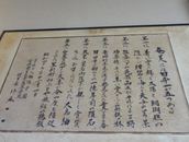 Amami's specialties listed at Minatoya Ryokan: beautiful scenery, habu snakes, sotetsu, hundred-million-year-old meteoric stones, Oshima tsumugi, and keihan (chicken rice)